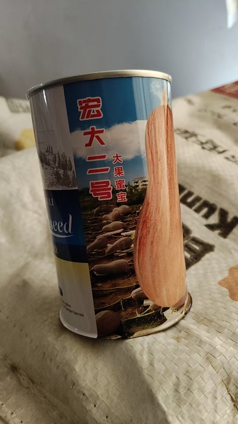 密本南瓜种子发芽率95%以上常年供应全国可种植