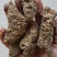 《生地黄》地黄片现货规格全量大从优