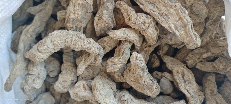 《生地黄》地黄片现货规格全量大从优