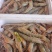 山东威海石岛野生海捕带籽大对虾4-6头