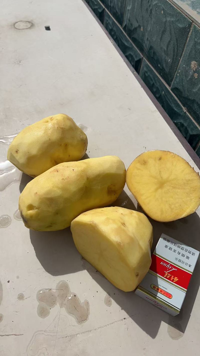 精品黄皮黄心，欢迎购买，竭诚为您服务。