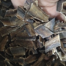 【地龙】广地龙干货全开切片个子规格齐全含量达标