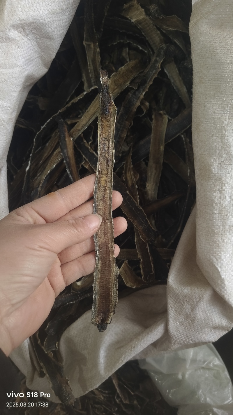 【地龙】广地龙干货全开切片个子规格齐全含量达标