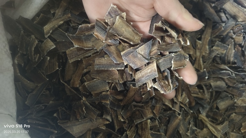 【地龙】广地龙干货全开切片个子规格齐全含量达标