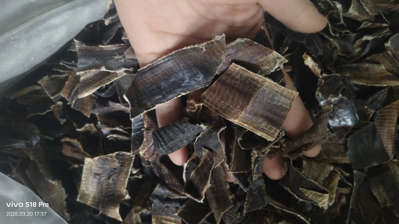 【地龙】广地龙干货全开切片个子规格齐全含量达标