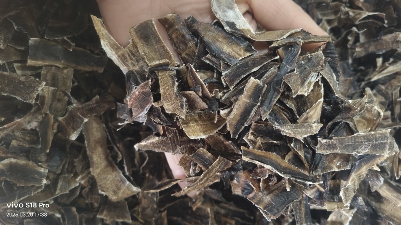 【地龙】广地龙干货全开切片个子规格齐全含量达标