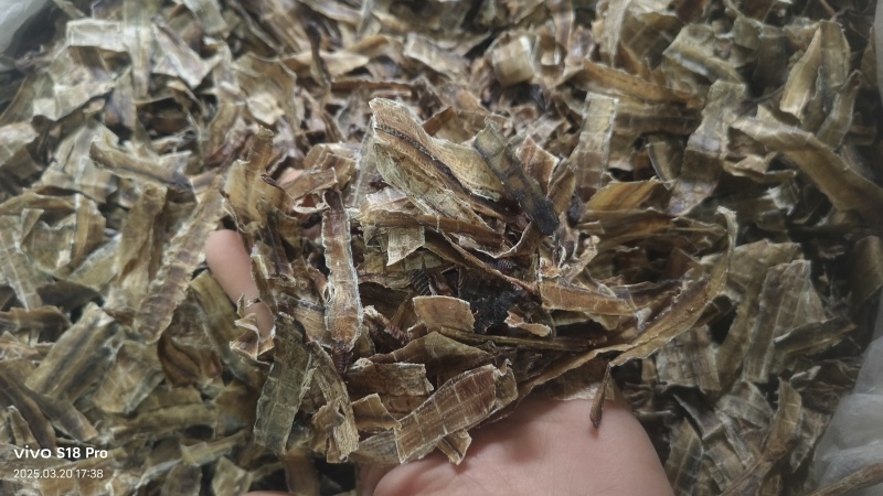 【地龙】广地龙干货全开切片个子规格齐全含量达标