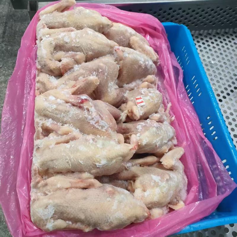 二级579公鸡，规格齐全，厂家直接发货，价格**