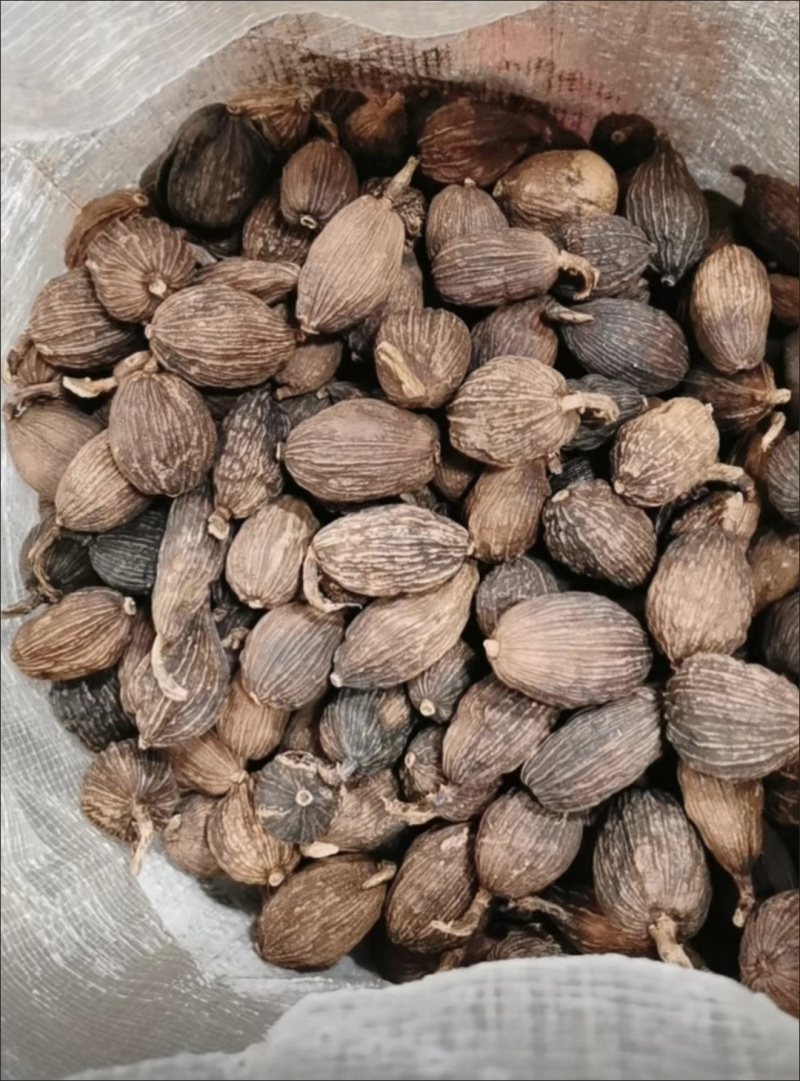 云南大草果调料卤肉炖肉药用当天发货香料大全