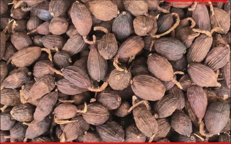 云南大草果调料卤肉炖肉药用当天发货香料大全