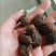 云南大草果调料卤肉炖肉药用当天发货香料大全