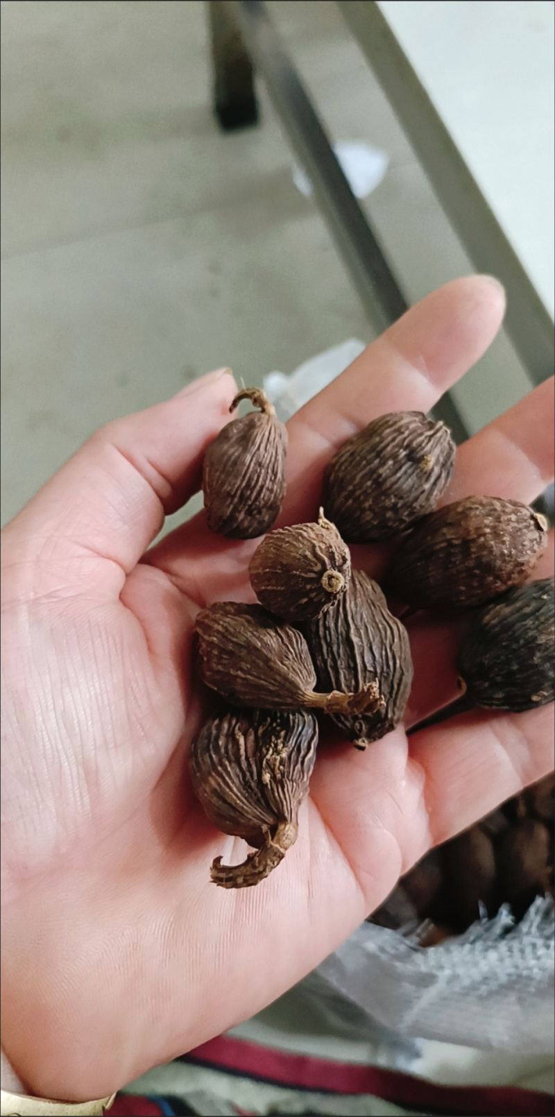云南大草果调料卤肉炖肉药用当天发货香料大全