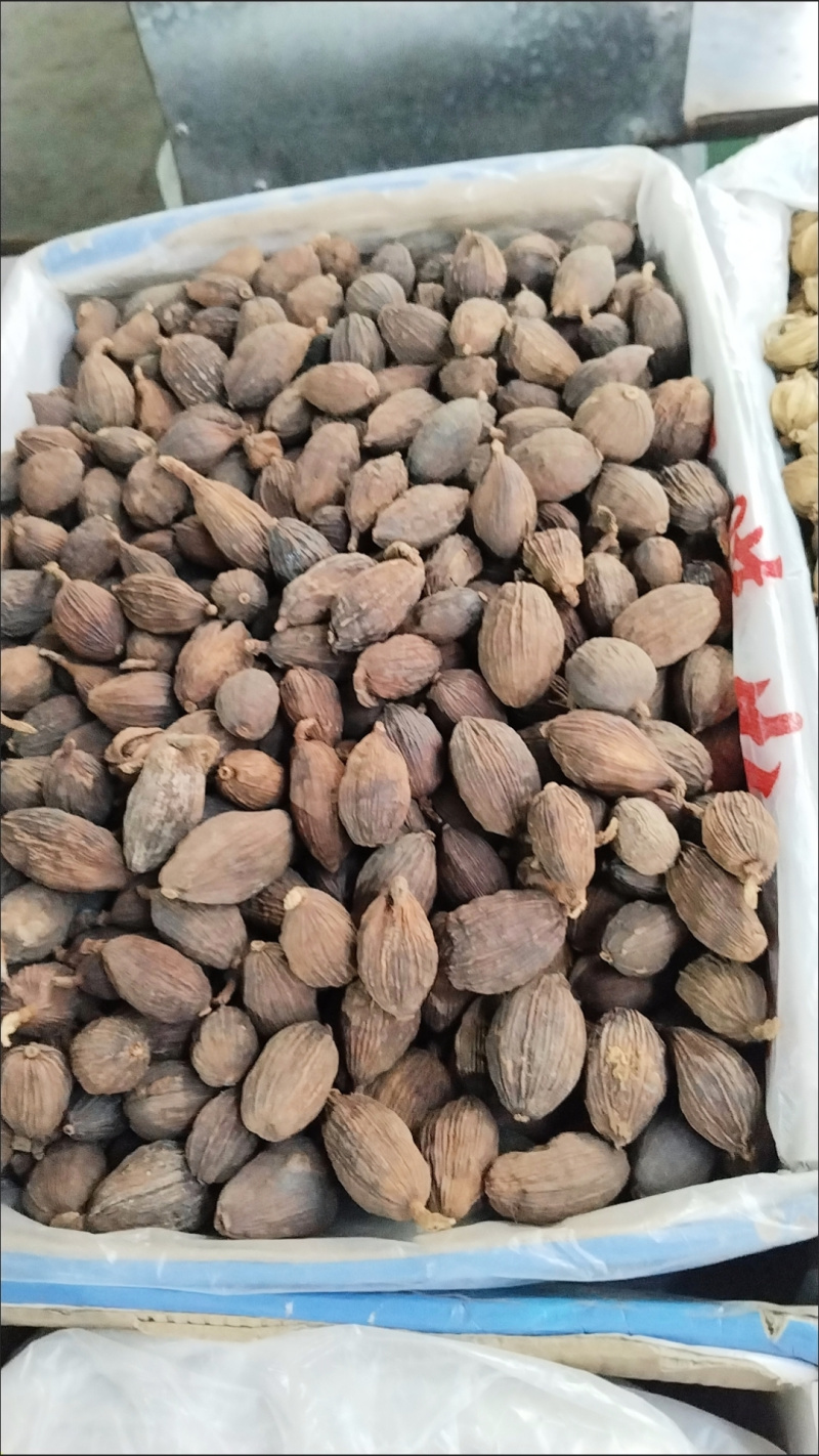 云南大草果调料卤肉炖肉药用当天发货香料大全