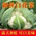 花菜/有机花菜/产地直发，品质好，新品上市