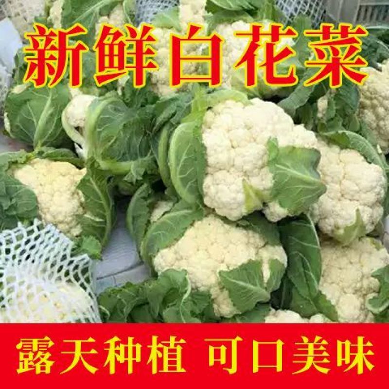 花菜/有机花菜/产地直发，品质好，新品上市
