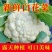 花菜/有机花菜/产地直发，品质好，新品上市