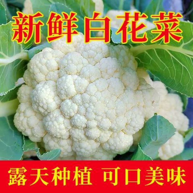 花菜/有机花菜/产地直发，品质好，新品上市