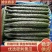 商丘夏邑油量鲜黄瓜，黑条密刺黄瓜青瓤，全国供应，质量三包