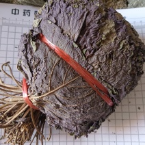 紫苏叶，双面紫苏叶，新货颜色好，实拍现货，接单秒发货