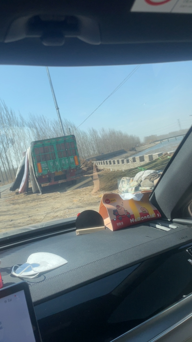 107杨树苗大量供应需要联系