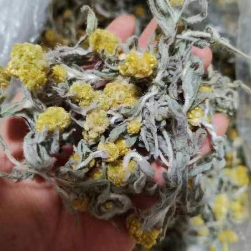 鼠曲草(包邮)3斤起发干货绒毛佛耳草田艾青团材料粑粑