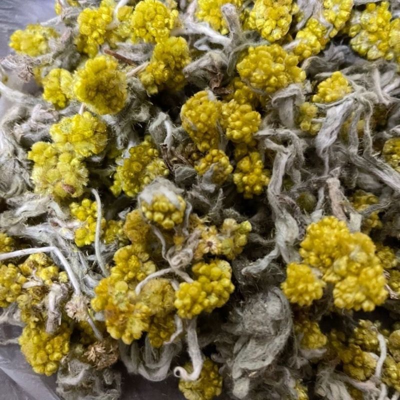 鼠曲草(包邮)3斤起发干货绒毛佛耳草田艾青团材料粑粑