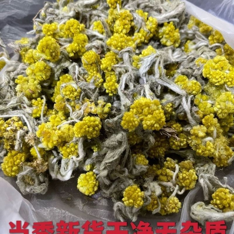 鼠曲草(包邮)3斤起发干货绒毛佛耳草田艾青团材料粑粑