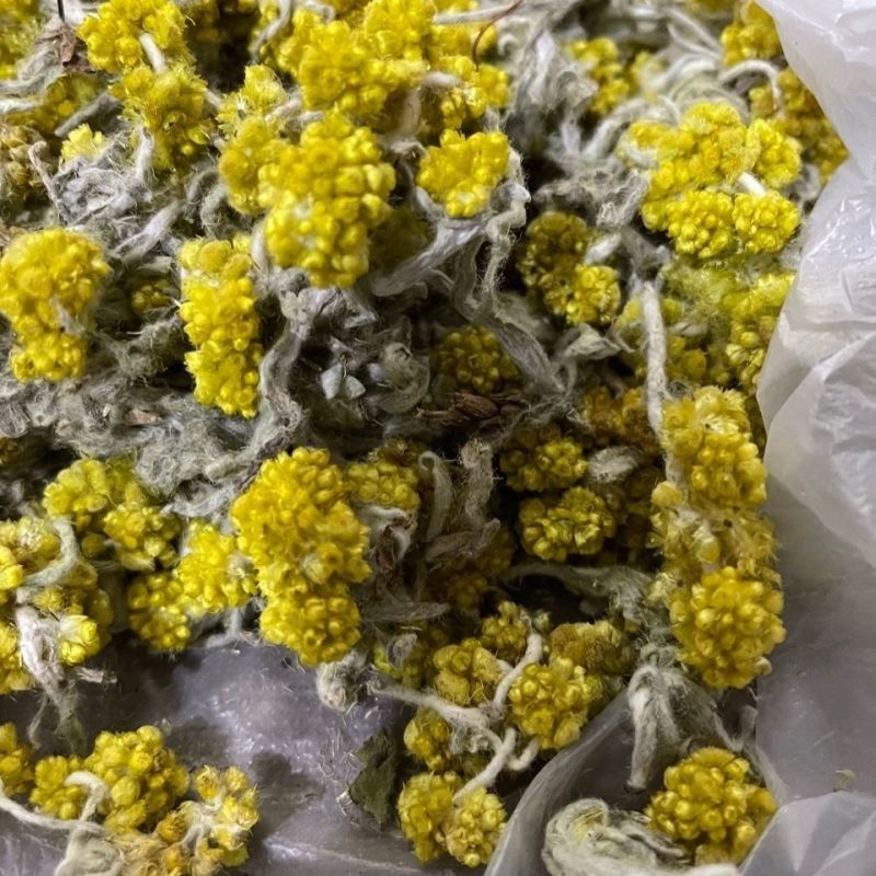 鼠曲草(包邮)3斤起发干货绒毛佛耳草田艾青团材料粑粑