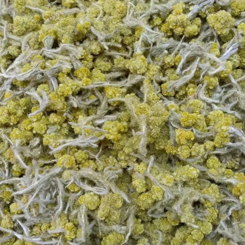 鼠曲草(包邮)3斤起发干货绒毛佛耳草田艾青团材料粑粑