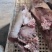 实力精品清真牛喉头工厂直销量大从优代发全国
