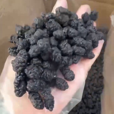 大颗粒桑椹干