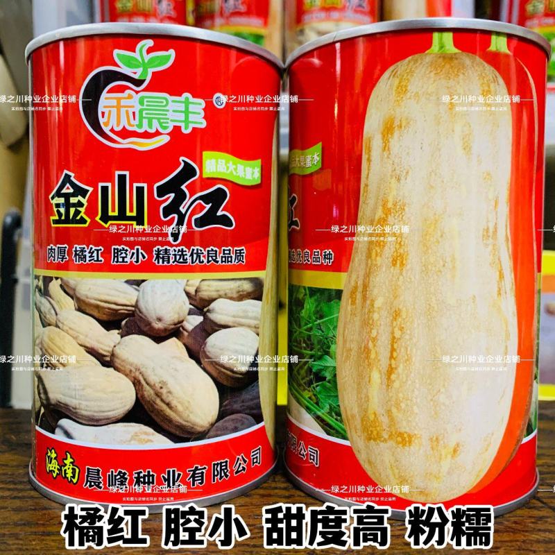 金山红蜜本南瓜种子肉质甘甜高产大果蜜本南瓜种籽瓜肉橘红