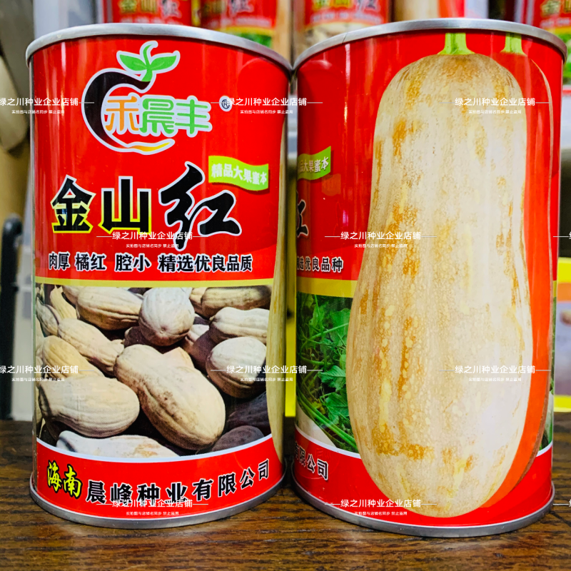 金山红蜜本南瓜种子肉质甘甜高产大果蜜本南瓜种籽瓜肉橘红