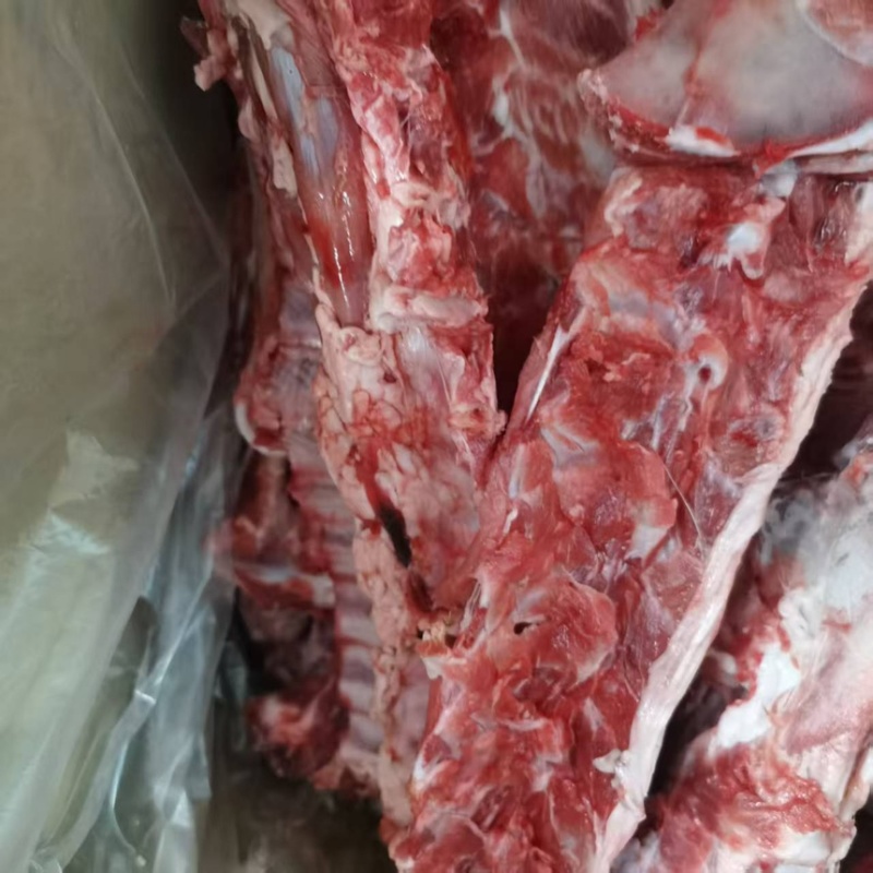 羊脊骨