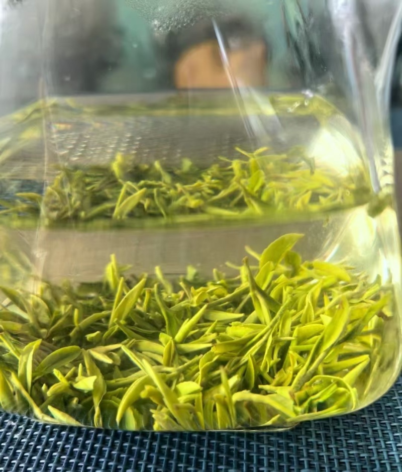 恩施玉露蒸青绿茶特级2025新茶头采嫩芽开园茶鲜爽回甘