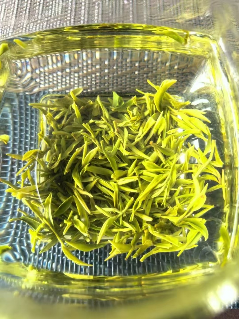 恩施玉露蒸青绿茶特级2025新茶头采嫩芽开园茶鲜爽回甘