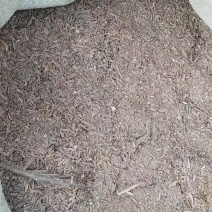 稻壳鸡粪，纯人工晒干鸡粪，纯发酵鸡粪，有机肥！！！！