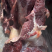 【牛腿肉】批发一件50斤牛肉牛腿肉