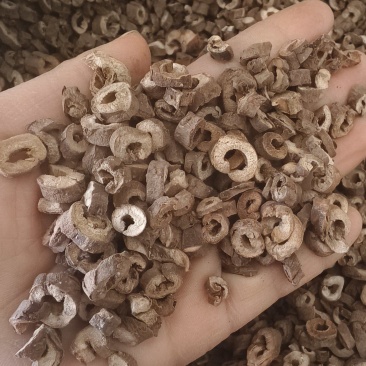 【牡丹皮】优质无硫磺全抽芯牡丹皮地道药材实拍现货