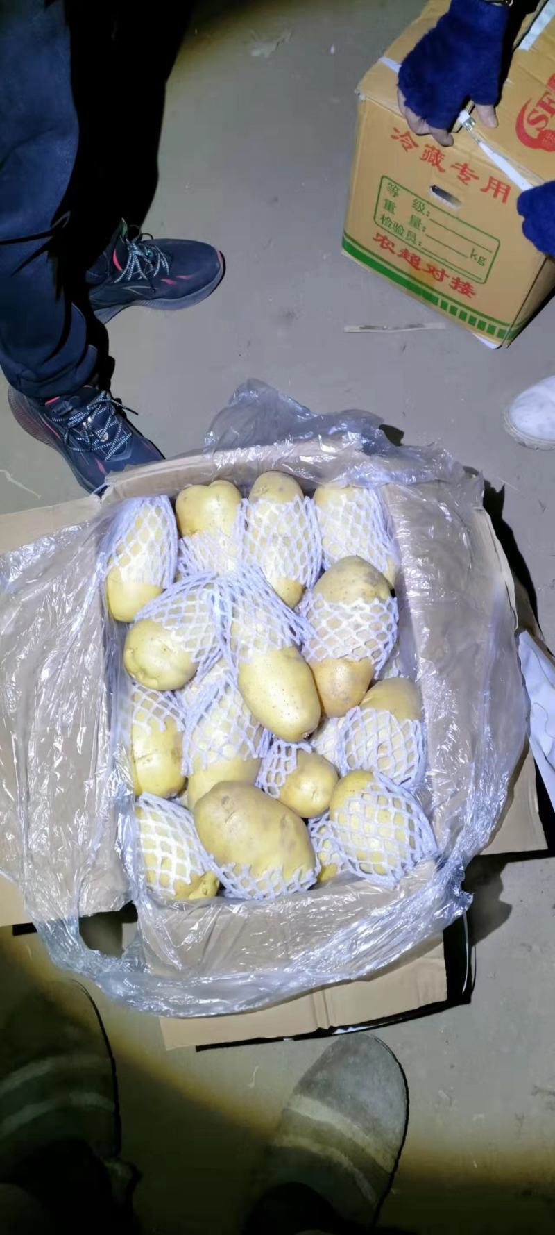 冷库黄心土豆荷兰十五土豆货源充足产地一手货源，全国发货，