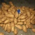 冷库黄心土豆大量出库，货源充足，全国发货，支持视频看货