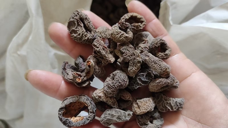 【乌梅】精品乌梅干量大从优