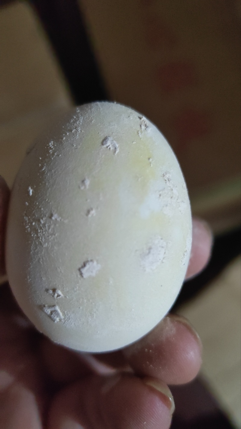 松花鸡皮蛋、鸭皮蛋,糖心大个包开，个个口感**，一手货源