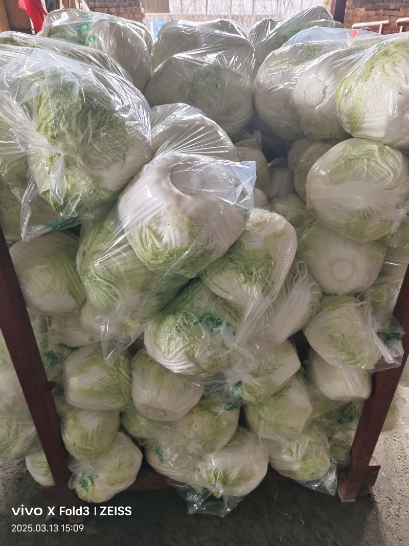 精品白菜