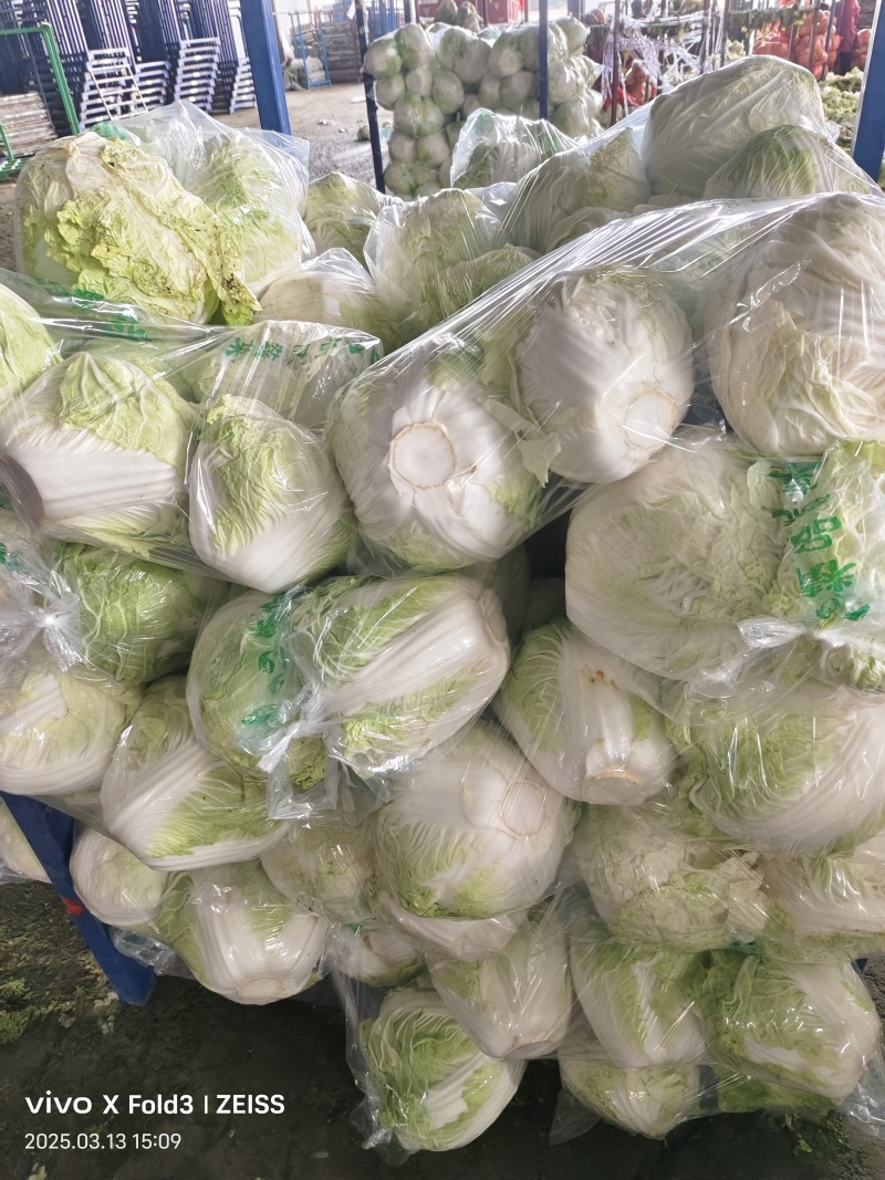 精品白菜