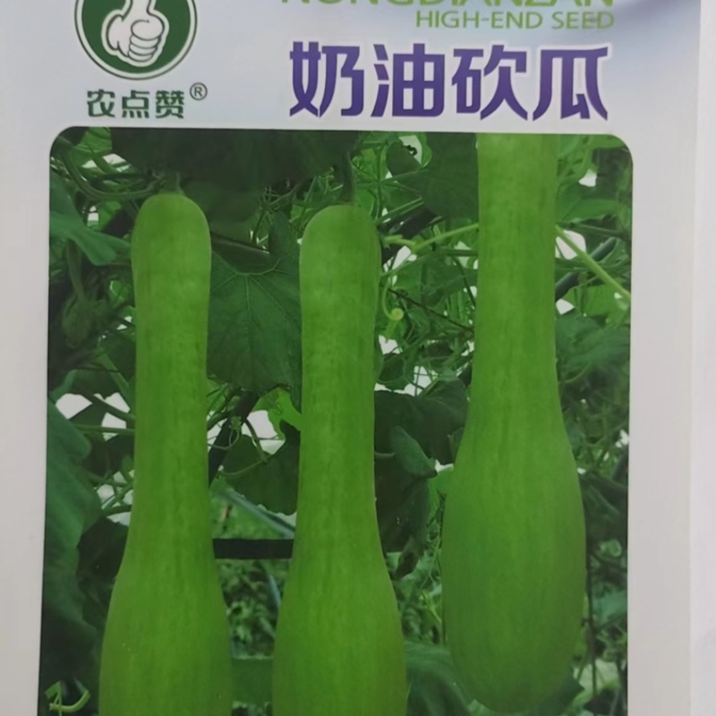 奶油砍瓜种子-香糯可口生长快结瓜期长边砍边吃