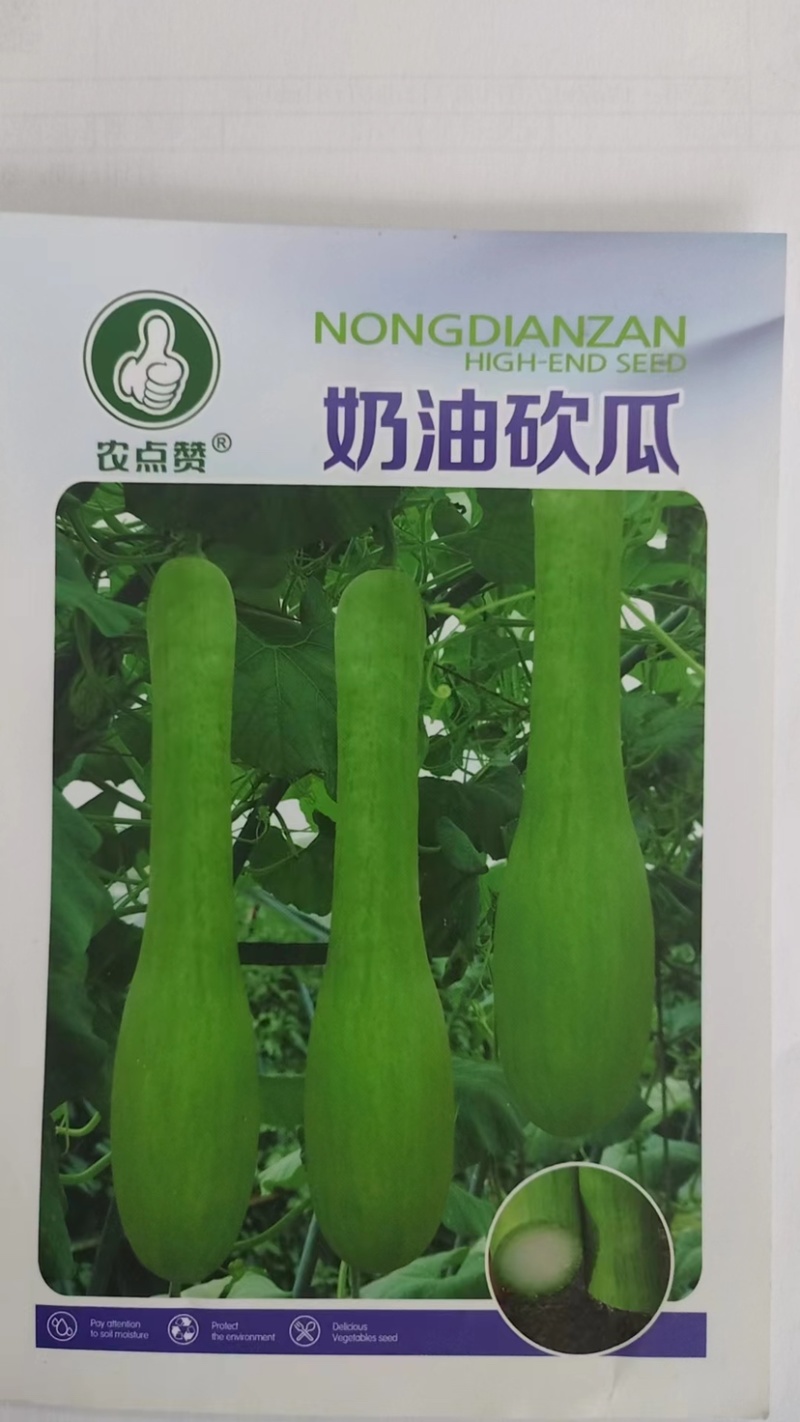 奶油砍瓜种子-香糯可口生长快结瓜期长边砍边吃