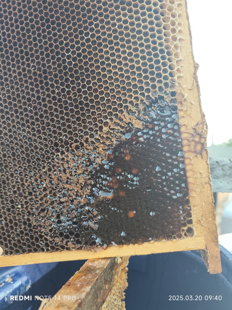 海南永兴火山岩荔枝蜜一件代发产地直发