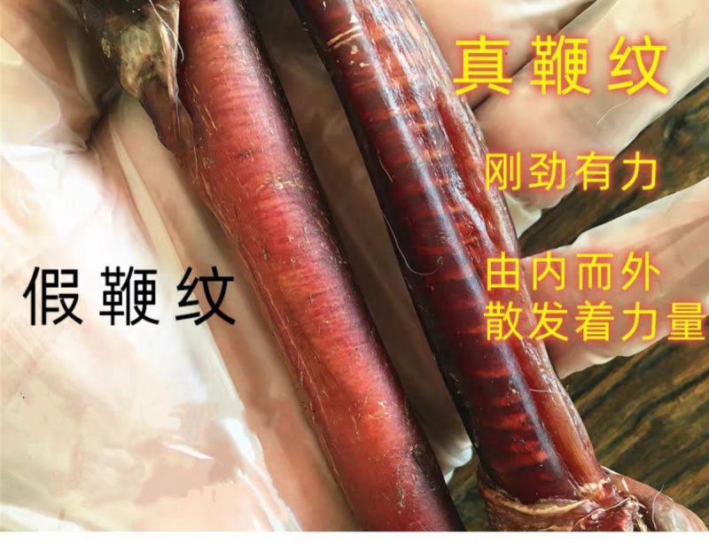 【鹿鞭】干鹿鞭整根男士滋补泡酒料鹿鞭片壮年整枝鹿鞭正品