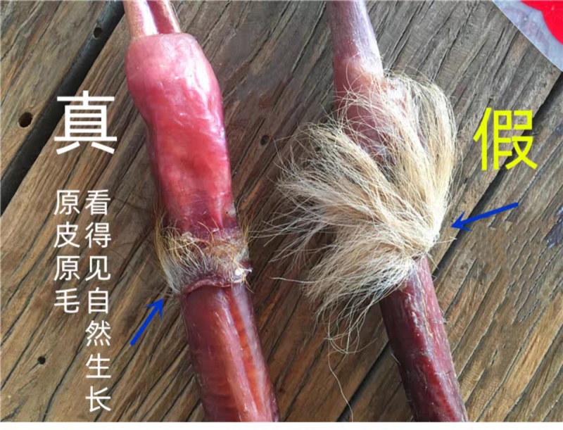 【鹿鞭】干鹿鞭整根男士滋补泡酒料鹿鞭片壮年整枝鹿鞭正品